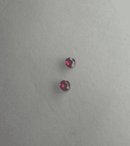 Ruby Pair Stone 1